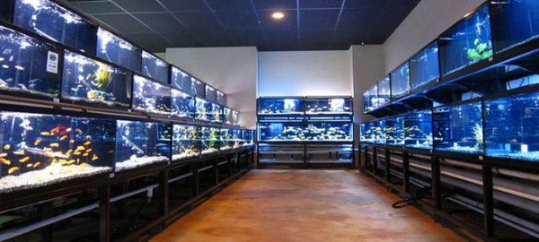 Pet and hotsell fish store